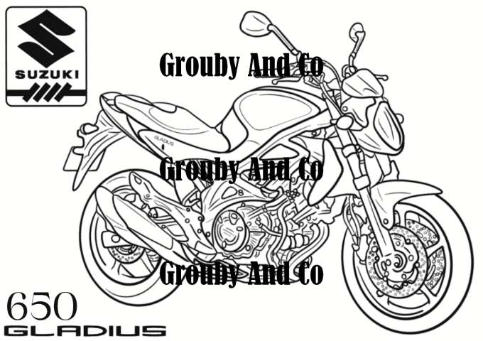 Suzuki Gladius 650 - Solo